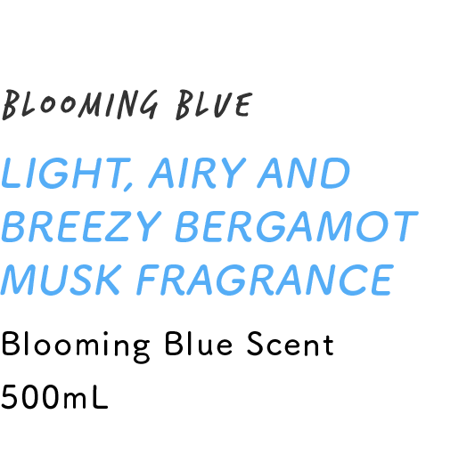LIGHT, AIRY AND BREEZY BERGAMOT MUSK FRAGRANCE