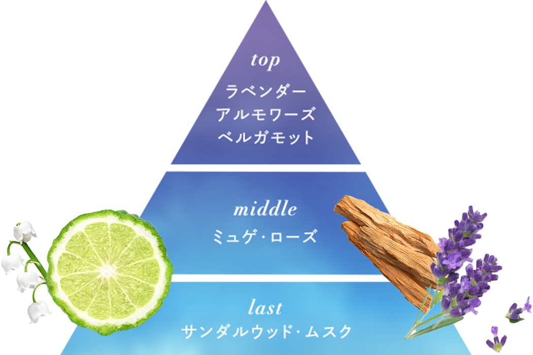 ノクターナルブルーの香り