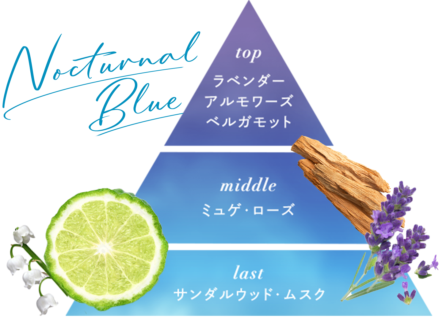 ノクターナルブルーの香り