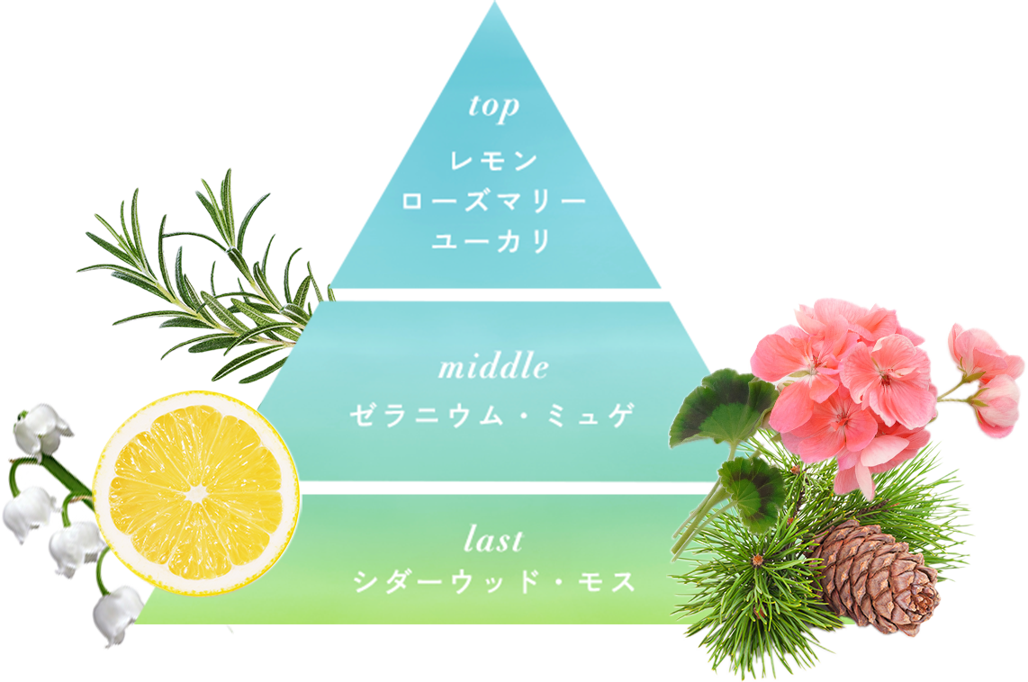 グリーンヘブンの香り