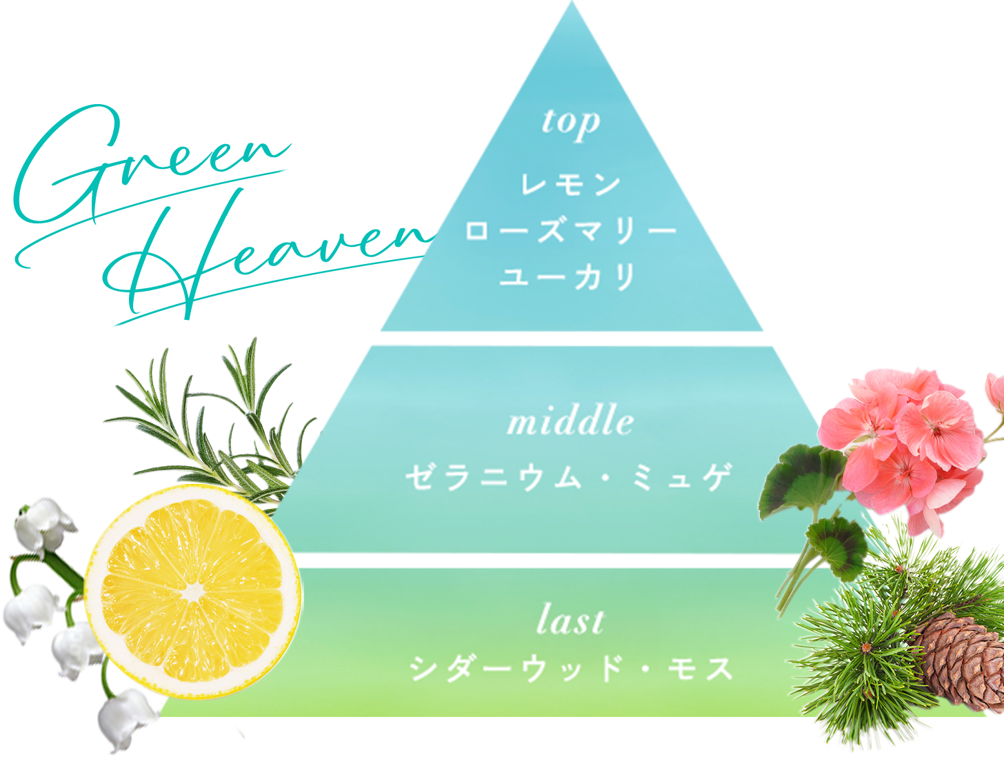 グリーンヘブンの香り