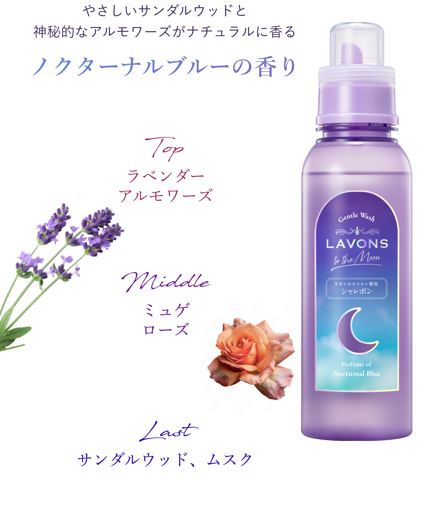 ノクターナルブルーの香り